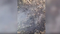 "SVI SE KRSTE I NE VERUJU SVOJIM OČIMA" Neverovatan prizor kod Požege podigao sve na noge