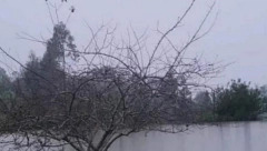 DA LI VIDITE JEZERO NA OVOJ FOTOGRAFIJI? Pažljivo pogledajte, ljudi razbijaju glavu zbog ove iluzije (FOTO)