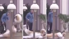 UČESNIK GURNUO UROŠA, ON UDARIO GLAVOM O BETON! Uznemirujući snimak, Traži se momentalna diskvalifikacija, Janjuš zapenio od besa