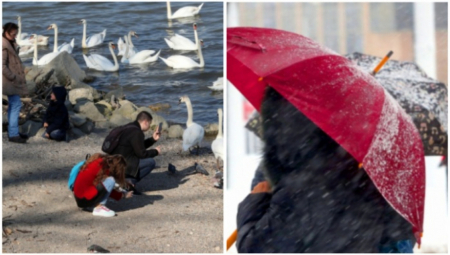 ŠTA JE OVO LJUDI MOJI? Vreme u februaru kao u aprilu, a sneg stiže od ovog datuma!