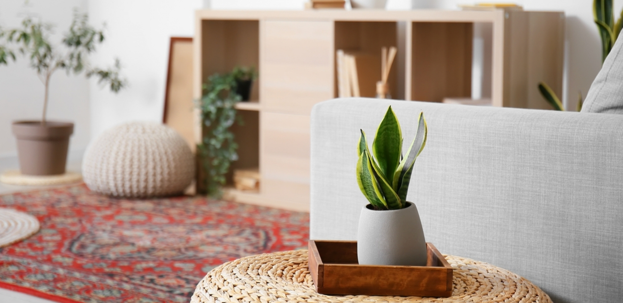 "BUDALA JE SAMO ONAJ KO GA KUPI" Prodaje stan za 40.000 evra na Kanarevom brdu, ali su zbog jedne stvari svi besni!