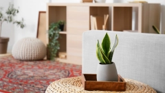 SRBI NAVALILI NA OVU DESTINACIJU PORED MORA: Kvadrat 1000 evra! Ovo nema ni kod nas!