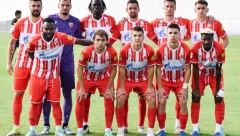 POBEDA JE TU, ALI I PROBLEMI Zvezda srušila Mađare, Milojević će morati da podigne Ndiajea