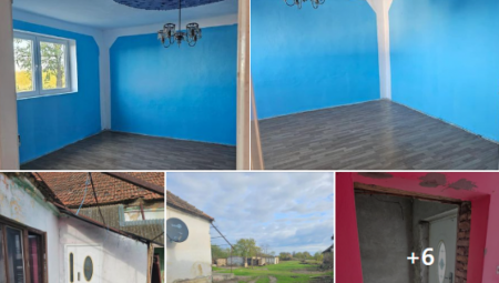 PETAR PRODAJE KUĆU OD 180 KVADRATA ZA 6.000 EVRA Svi se pitaju samo jednu stvar - i misle da je cena - ŠALA