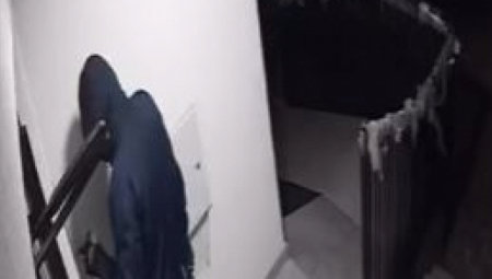 DOLIJAO VIŠESTRUKI POVRATNIK Operisao na Novom Beogradu, na meti mu bili stanovi