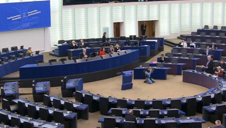 OGLASILA SE SRPSKA DELEGACIJA U PS SE Ovo je plana Beograda u 10 amandmana