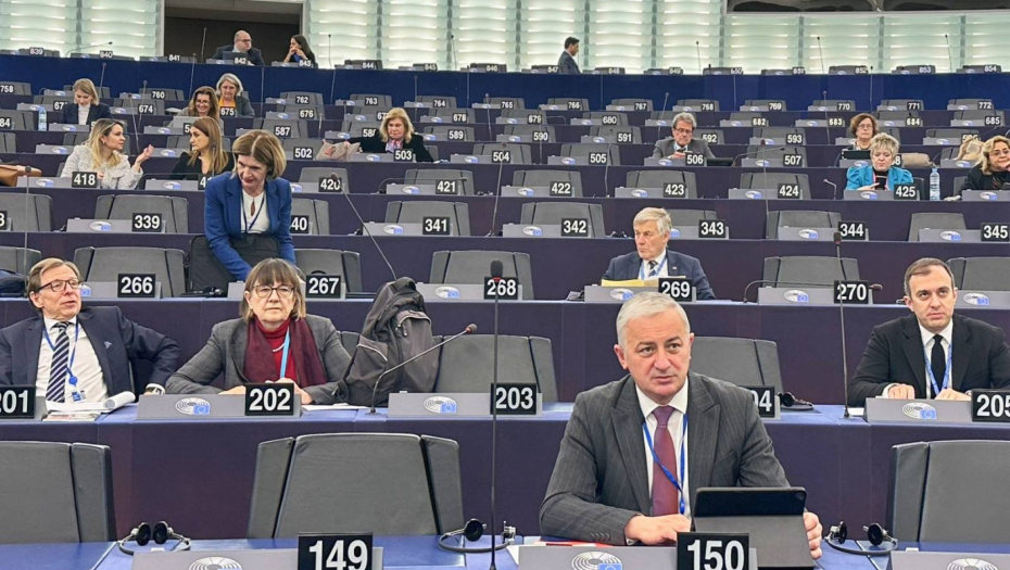BORENOVIĆ U STRAZBURU: Izbori u Srbiji su praznik demokratije, zlonamerni izveštaji o uticaju birača iz Srpske