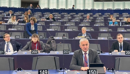 BORENOVIĆ U STRAZBURU: Izbori u Srbiji su praznik demokratije, zlonamerni izveštaji o uticaju birača iz Srpske