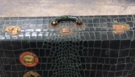 ČOVEK NAŠAO STARI KOFER U SMEĆU, NE SLUTEĆI NJEGOVU TAJNU Šokirao se kad je shvatio o čemu se radi (VIDEO)