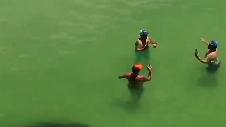 VRISKA NA PLAŽI Kupali se u plićaku, a onda se u vodi pojavilo nešto crno i OGROMNO (VIDEO)