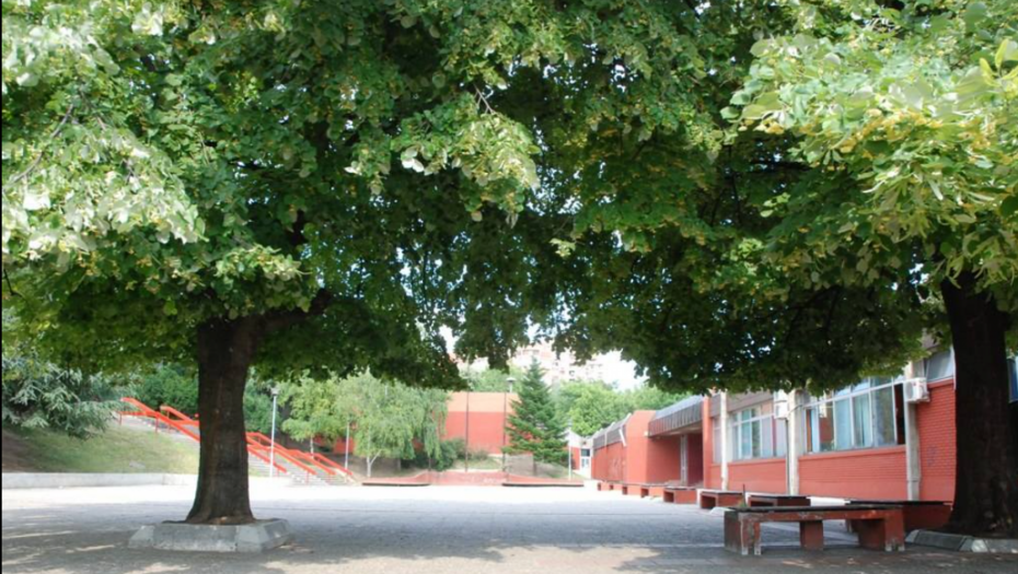 DEVOJČICE NA VOŽDOVCU PRIJAVILE DA MUŠKARAC HOĆE DA IH OTME Došli očevi, nastao haos