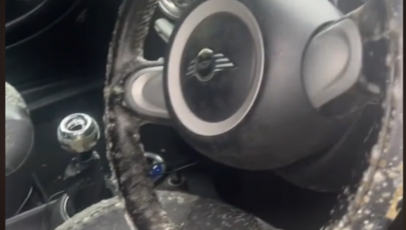 ŽENA SE TRESLA OD ŠOKA Ušla u svoj auto i videla prizor koji je BACIO U NESVEST (VIDEO)