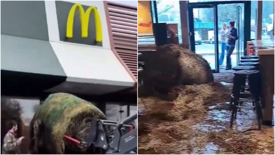 ČIZBURGER OD STAJSKOG ĐUBRIVA! Opšti haos u lokalnom Mekdonaldsu, ušli unutra i uneli ogromne količine stajnjaka! Smrdelo na sve strane (VIDEO)