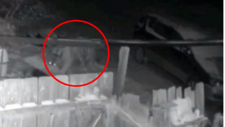 UBIO GA JE JEDNIM UGRIZOM! Užasna scena u Rusiji, krvoločna zver odjednom iskočila iz šume (UZNEMIRUJUĆI VIDEO)