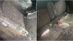 LJUDI, ŠTA JE OVO? Otvorila je auto i zatekla jeziv prizor (VIDEO)