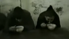 "ČULI SU SE KRICI, ŽENE SU SILOVANE, WC NAM JE BILA JEDNA KOFA " U logoru "Silos" mučeno je 600 Srba, to mesto je bilo kao Aušvic