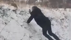 "UHVATIĆE GA RUKAMA" Spazio je malu zverku kraj puta i odmah odlučio da deluje! Urnebesna scena nasmejala Srbiju (VIDEO)