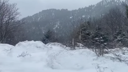 SNEG I HLADNOĆA OKOVALI GRČKU Putevi blokirani, škole zatvorene, trajekti ne rade (FOTO/VIDEO)