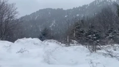 SNEG I HLADNOĆA OKOVALI GRČKU Putevi blokirani, škole zatvorene, trajekti ne rade (FOTO/VIDEO)