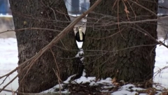 MILAN (31) AKTIVIRAO BOMBU DOK JE POKAZIVAO DRUGU Isplivali detalji strašne tragedije u Jagodini