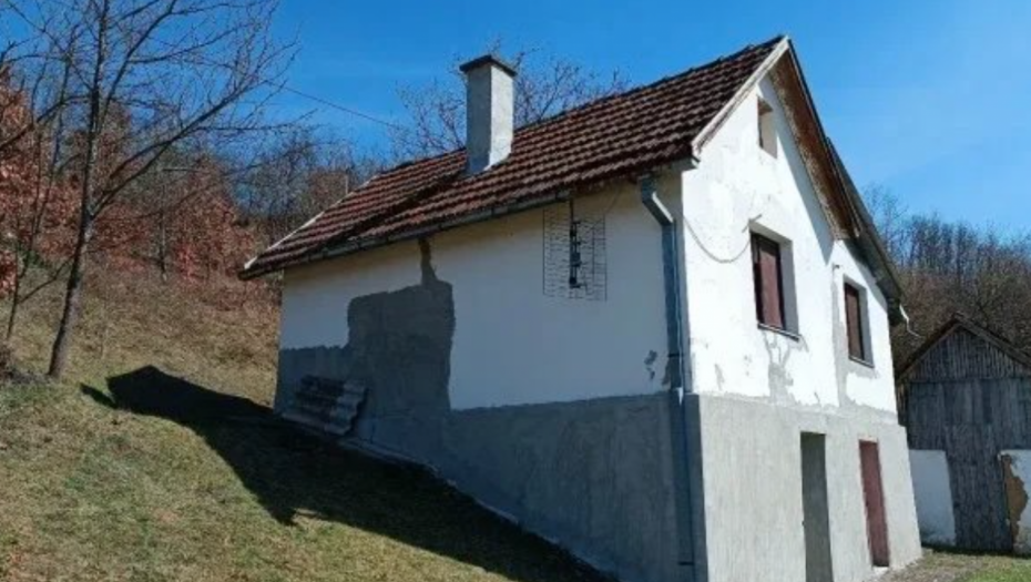 MILANKA PRODAJE KUĆU OD 40 KVADRATA I 4 HEKTARA ZEMLJE ZA 21.000 EVRA Za te pare dobija se i voćnjak, u OVO svi gledaju