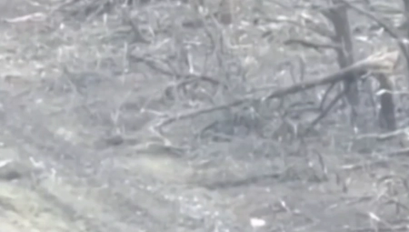 SPASAO SEBE I SVOJE SABORCE OD SIGURNE SMRTI Rus iz očaja u borbi za goli život  uhvatio granu i njome srušio urkajinski dron! (VIDEO)