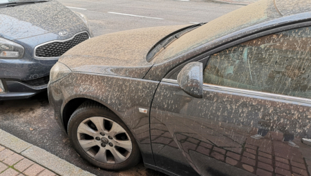 Nad Srbijom pustinjski pesak iz Sahare i "prljava" kiša: Dr Ničković otkriva kako ove čestice utiče na zdravlje i ko će pretrpeti najveću štetu