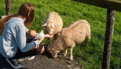 SAMO JEDNA DEVOJČICA U SRBIJI IMA OVO IME Svaki dan ga čujete, ali svi se šokiraju kada čuju kako se zove