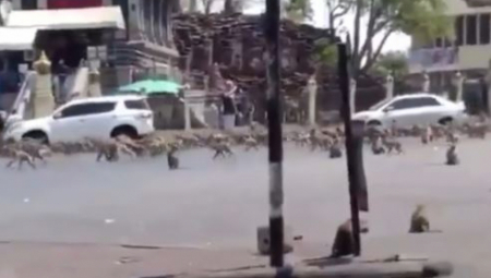 TERORIŠU GRAD Dok lome sve pred sobom, turisti beže glavom bez obzira (VIDEO)