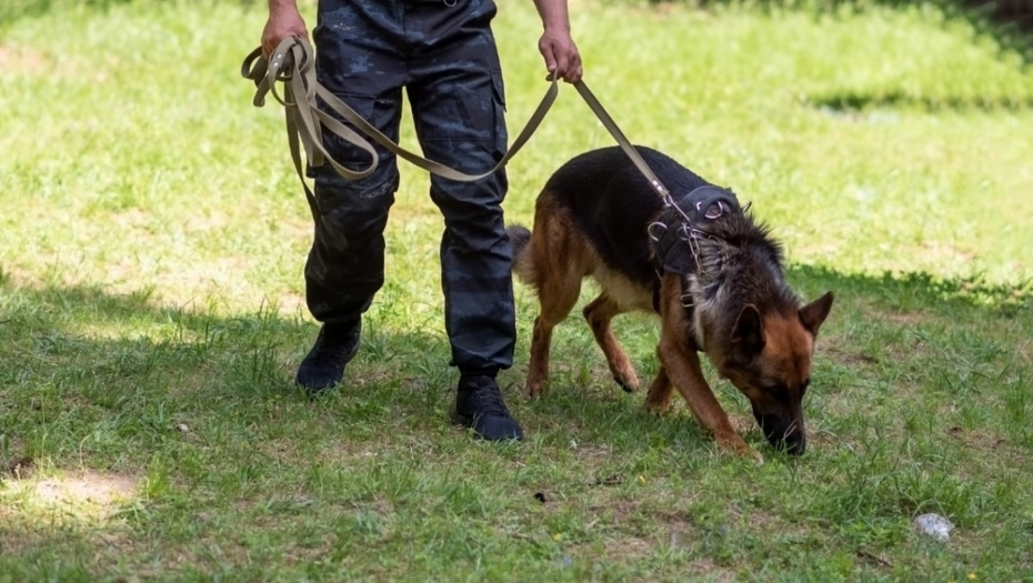 DEČAK (2) NESTAO U ŠUMI Otišao u šetnju sa ocem i od tada mu se gubi svaki trag