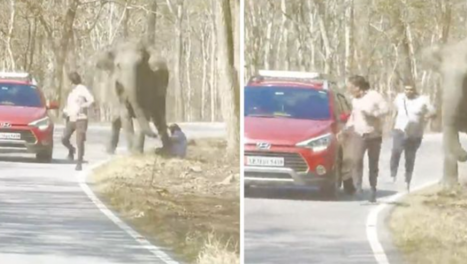 LJUDI U PANICI BEŽE Jeziv snimak, pomahnitali slon juri ljude, umalo da zgnječi čoveka na podu (VIDEO)
