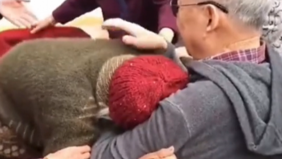 ČEKALA MUŽA 54 GODINE Kad ga srela pokajala se, jednim potezom joj slomio srce (VIDEO)