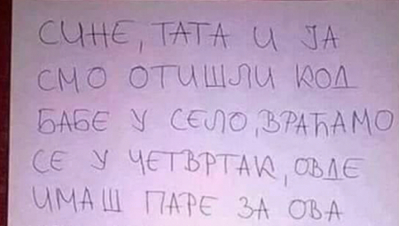 OTIŠLI U SELO, A SINU OSTAVILI PORUKU I PARE Kad vidite šta ga mole da ne radi, plakaćete od smeha