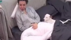 GADURA BEZOSEĆAJNA: Publika oštro osudila Anelin odnos prema psu, otkriveno šta je uradila