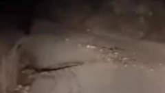 DIVLJA ZVER ISKOČILA PRED AUTOMOBIL Jeziva scena zabeležena na Cetinju (VIDEO)
