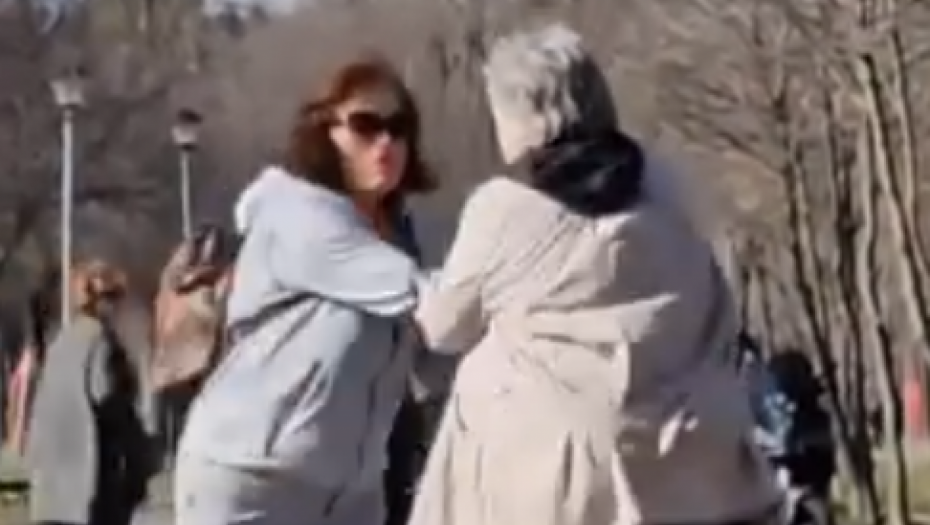 PSOVALA, GREBALA VOZILA, PA NASRNULA NA ŽENU Užas u Beogradu, starija žena podivljala: NIKO OD PROLAZNIKA NIJE REAGOVAO! (VIDEO)