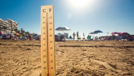 OVO NIJE ZABELEŽENO U ISTORIJI PLANETE U Španiji toplotni talas usred januara