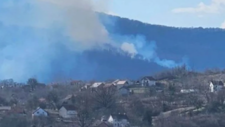 POŽAR KOD LOZNICE Vatrogasci se bore sa vatrenom stihijom