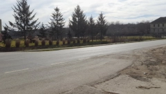 "PREŠAO JE PREDNJIM TOČKOVIMA PREKO JELENE, I ZAUSTAVIO SE ZADNJIM TOČKOVIMA TIK ISPRED NJE" Rođak opisao jezive detalje tragedije u Dolovu