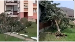 JAK VETAR PRAVI HAOS U OVIM DELOVIMA SRBIJE Odvaljuje semafore, krovove i stabla!