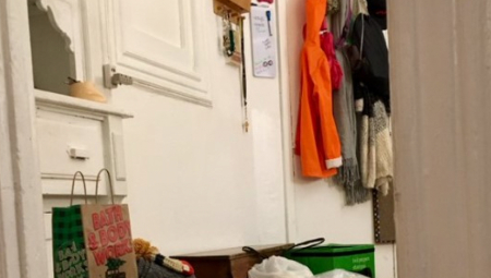 OKO SOKOLOVO Svega 2 posto ljudi vidi mačku na slici, da li ste i vi među njima ? (FOTO)