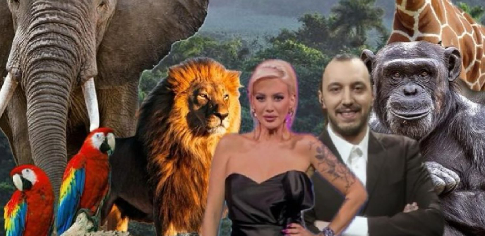 EKSKLUZIVNO! Saša Mirković pokreće novi format "ŽIVOT U DIVLJINI!"