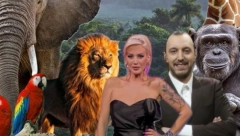 EKSKLUZIVNO! Saša Mirković pokreće novi format "ŽIVOT U DIVLJINI!"