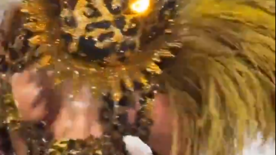 KARNEVAL U RIJU UVELIKO TRAJE Šou na ulicama, luda muzika i neprevaziđeni kostimi (VIDEO)