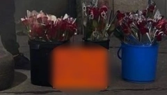MOMCI SA ZVEZDARE IMAJU ODLIČAN PREDLOG Ako danas niste dobili poklon od voljenog muškarca poslušajte ova dva šmekera!