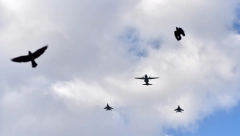 PREDSEDNIK SRBIJE PORUČIO: Svaki naš vojnik bi za godinu i po trebalo da ima po jedna dron "komarac"