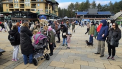 NEVEROVATAN PRIZOR SA ZLATIBORA Ljudi čekaju u kolonama da bi ušli u kafić