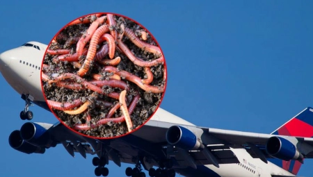 LET IZ PAKLA, ZLOČIN U VAZDUHU! Putnici zgroženi incidentom u avionu, ono što se desilo LEDI KRV U ŽILAMA