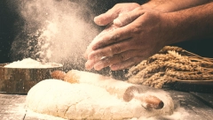 TESTO ZA PICU Po starom receptu italijanskih pica majstora, a gotovo začas