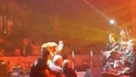 IZGLEDA JEZIVO! Incident na koncertu Dragane Mirković, obezbeđenje hitno reagovalo!